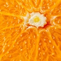 Jan 24 - Orange