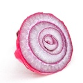 Feb 17 - Red onion.jpg
