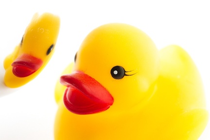 Feb 20 - Reflecting ducky