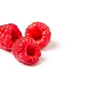 Sep 05 - Raspberries.jpg