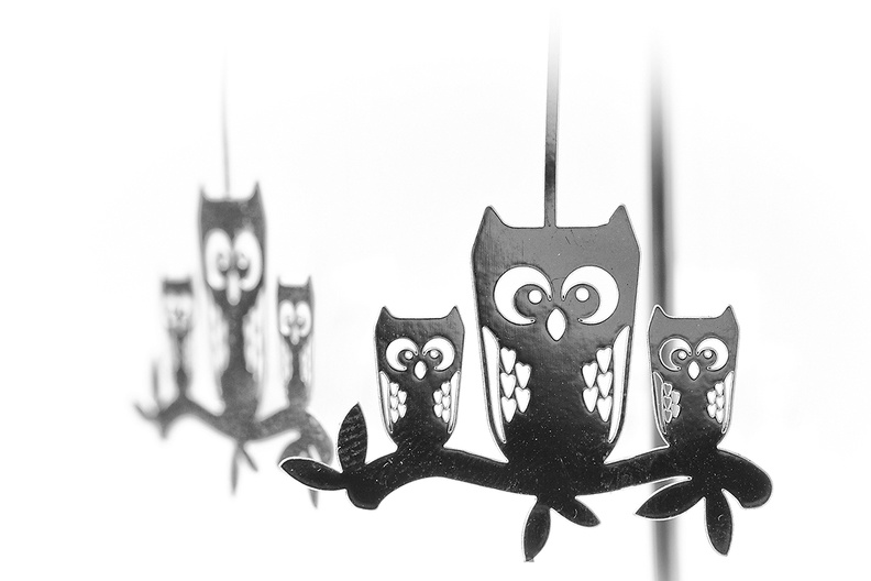 Dec 19 - Owls.jpg