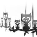 Dec 19 - Owls.jpg