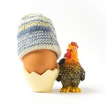 Feb 04 - Chicken and egg