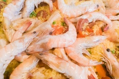Aug 09 - Shrimps
