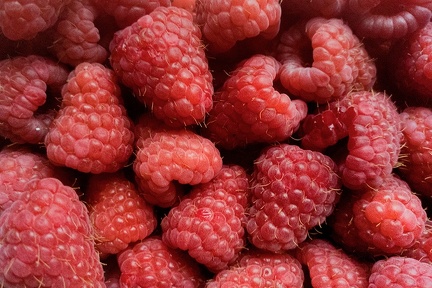 Aug 10 - Raspberries