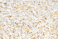 Apr 08 - Rice