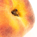 Jun 18 - Peach