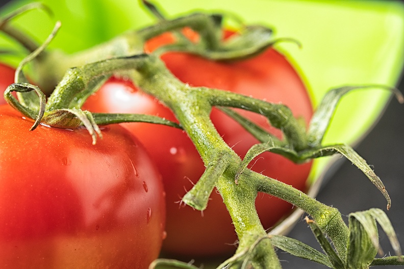 Sep 16 - Tomatoes.jpg