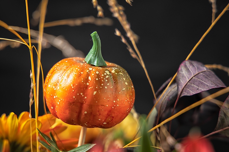 Oct 18 - Pumpkin.jpg