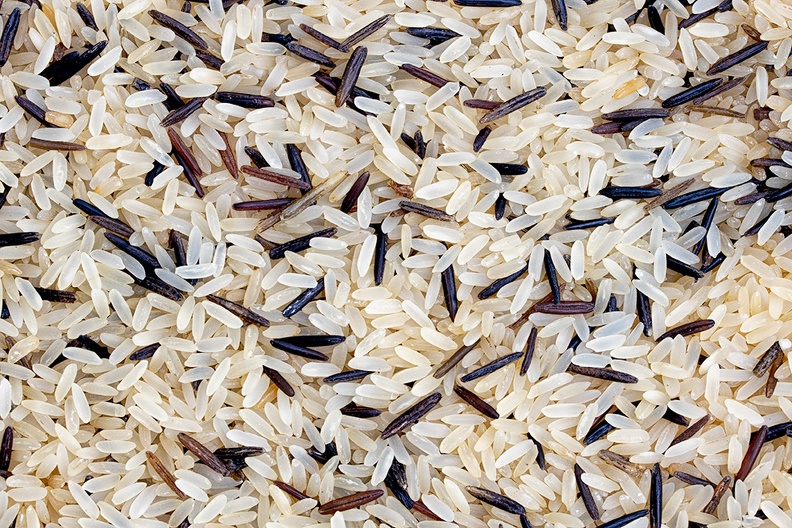 Nov 04 - Rice.jpg