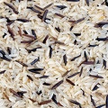 Nov 04 - Rice.jpg