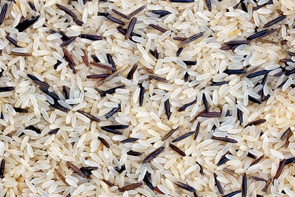 Nov 04 - Rice