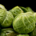 May 12 - Sprouts
