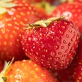 Jun 07 - Strawberries