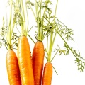 Jul 14 - Carrots.jpg
