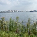Aug 15 - Canal view.jpg
