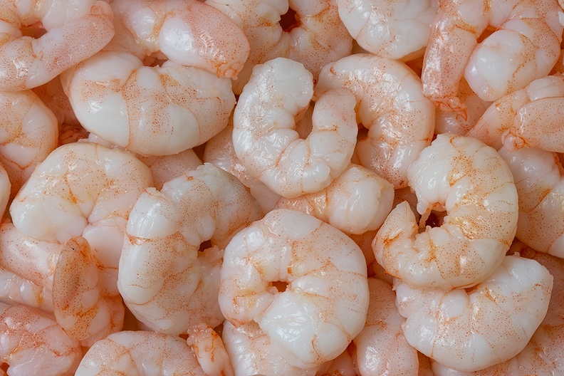 Aug 25 - Shrimps.jpg