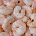 Aug 25 - Shrimps