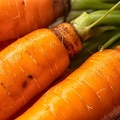 Oct 25 - Carrots