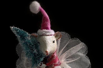 Dec 10 - Portrait of a mouse