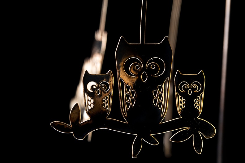 Dec 26 - Owls.jpg