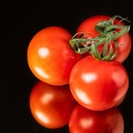 Apr 09 - Tomatoes