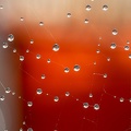 Oct 07 - Droplets.jpg