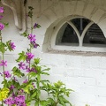 Jun 24 - Window and flowers.jpg