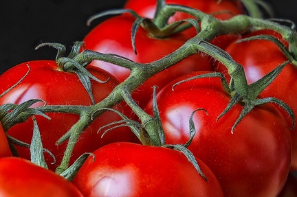 Aug 09 - Tomatoes