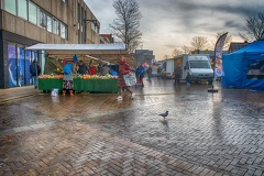 Feb 11 - A pigeon at the market