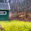 Mar 31 - Shed