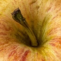 Jul 22 - An apple a day.jpg