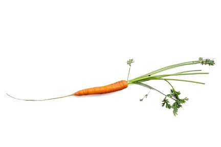 Aug 27 - A carrot