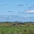 Sep 13 - Landscape