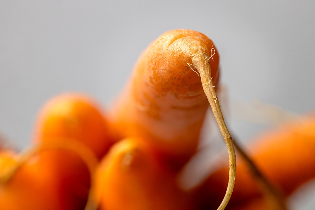 Dec 10 - Carrots