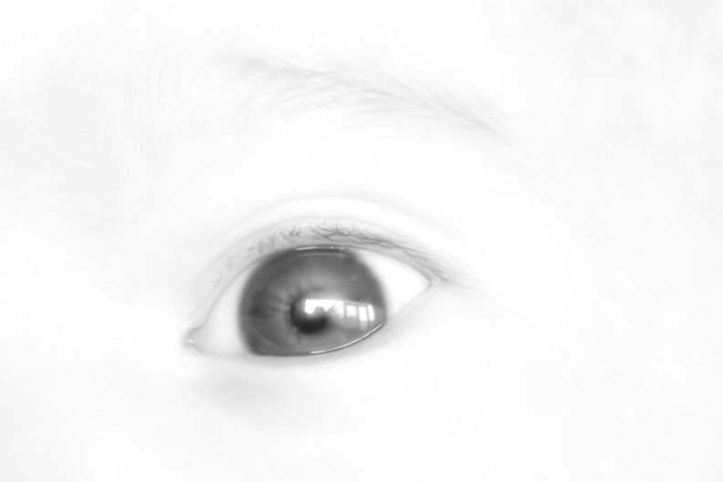 Feb 22 - Eye.jpg