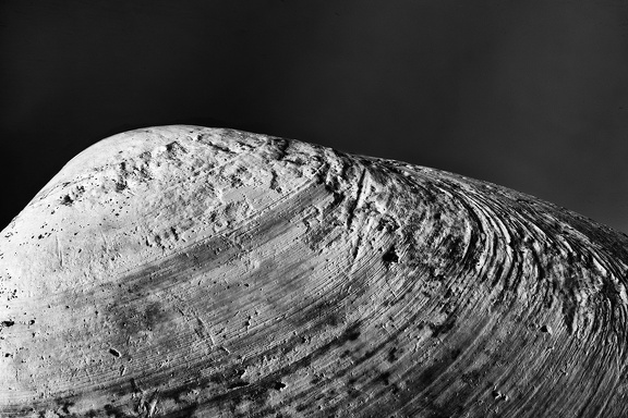 Mar 08 - Asteroid