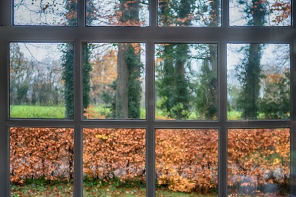 Nov 23 - Looking outside