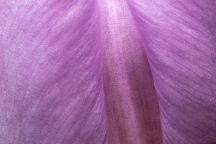 Jan 22 - Side view