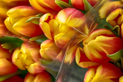 Apr 16 - Fresh flowers