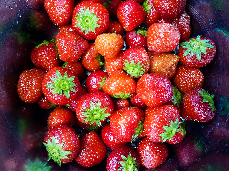 Sep 06 - Strawberries