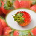 Feb 04 - Strawberry.jpg