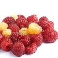 Sep 04 - Raspberries