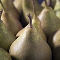 Oct 01 - Stew pears