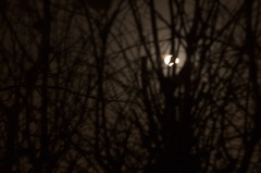 Dec 06 - Moon