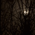 Dec 06 - Moon.jpg
