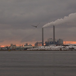 2009