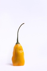 Jan 20 - Yellow pepper