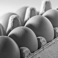 Feb 28 - Eggs