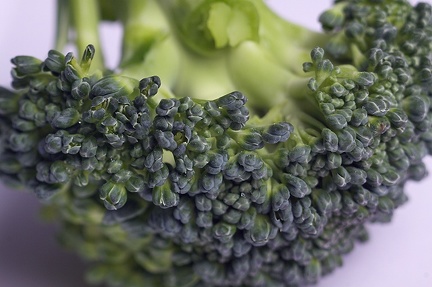 Mar 30 - Broccoli